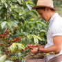 Nuvia Coffee: O călătorie către cea mai pură esență ale culturilor braziliene